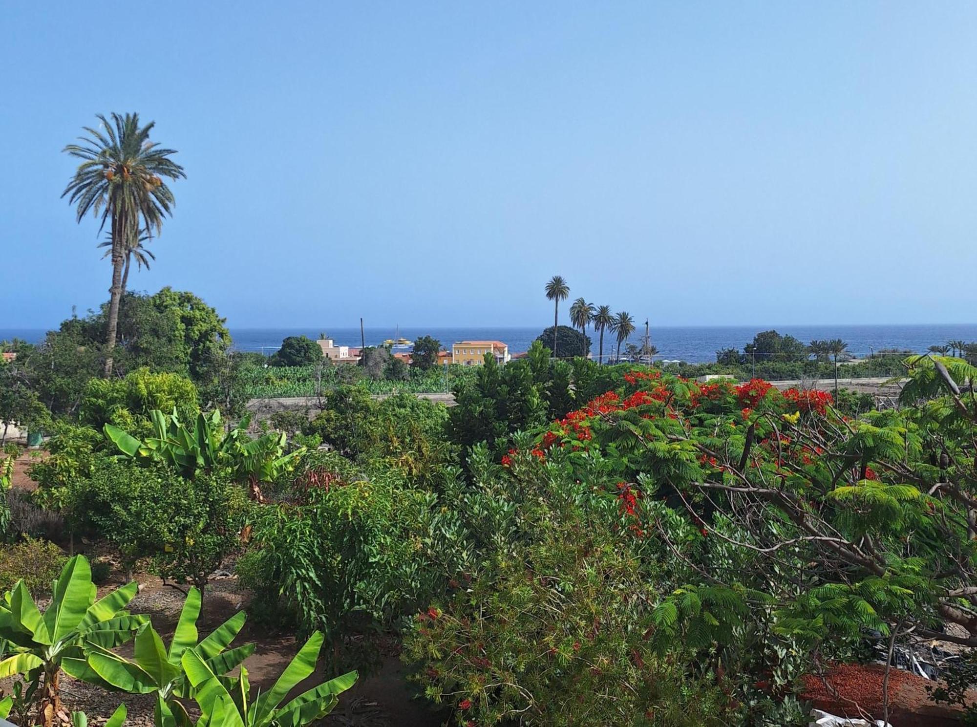 Apartamentos Bellavista Gomera プラヤ・デ・サンティアゴ エクステリア 写真