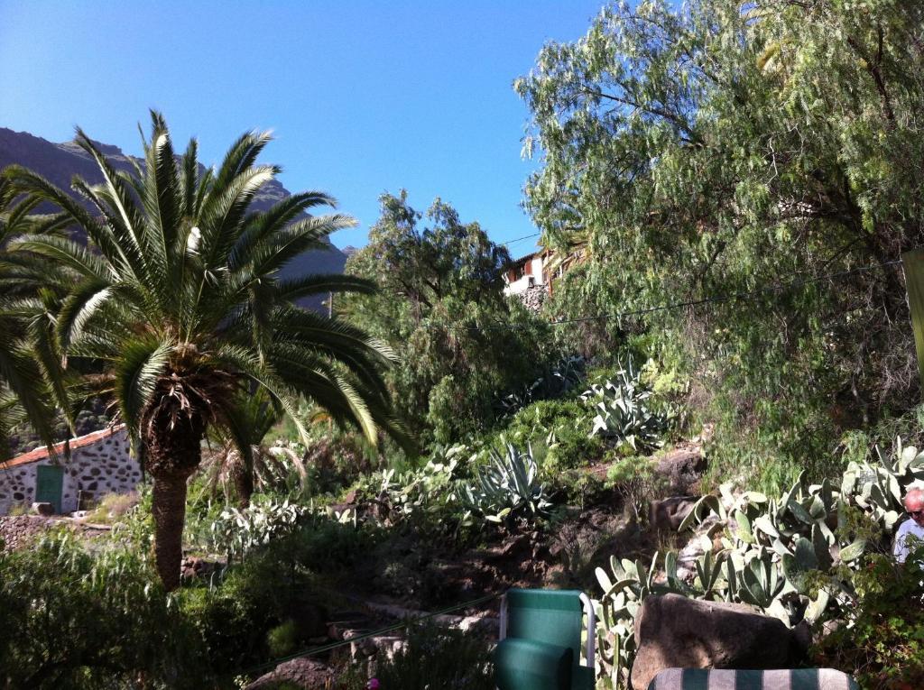 Apartamentos Bellavista Gomera プラヤ・デ・サンティアゴ エクステリア 写真
