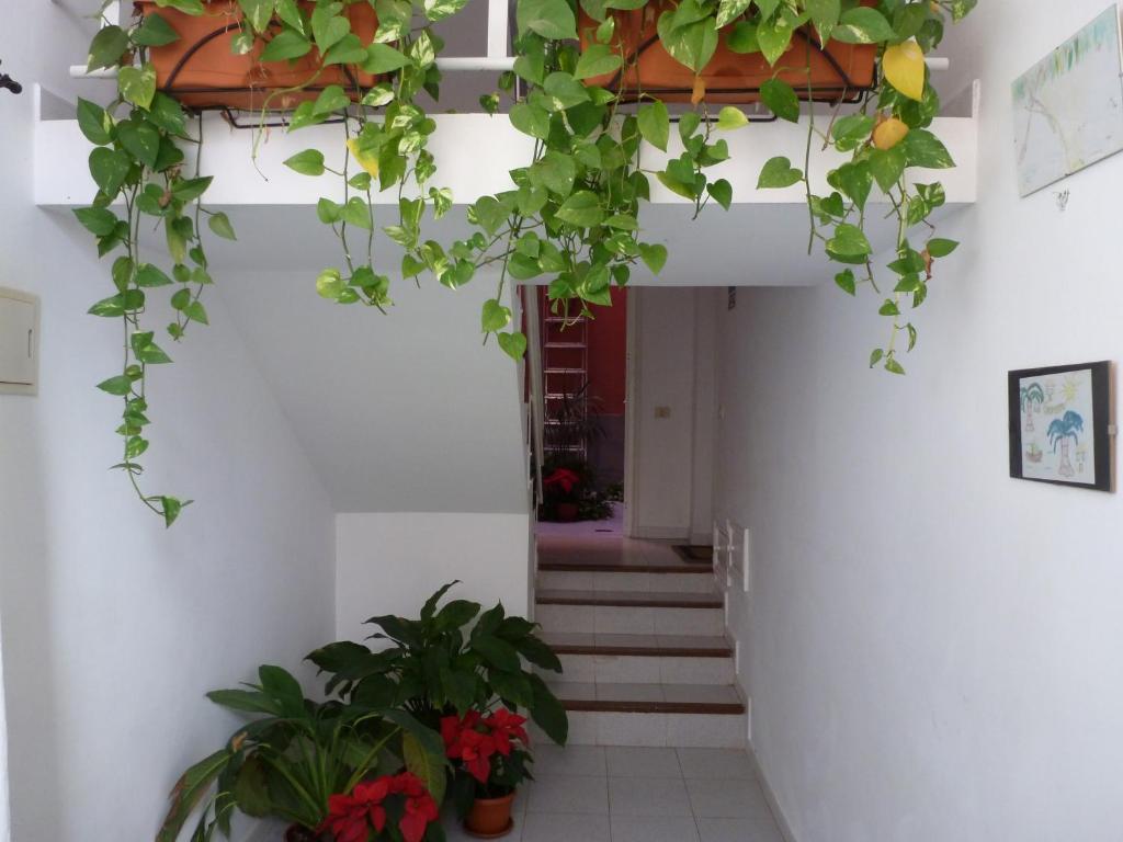 Apartamentos Bellavista Gomera プラヤ・デ・サンティアゴ エクステリア 写真
